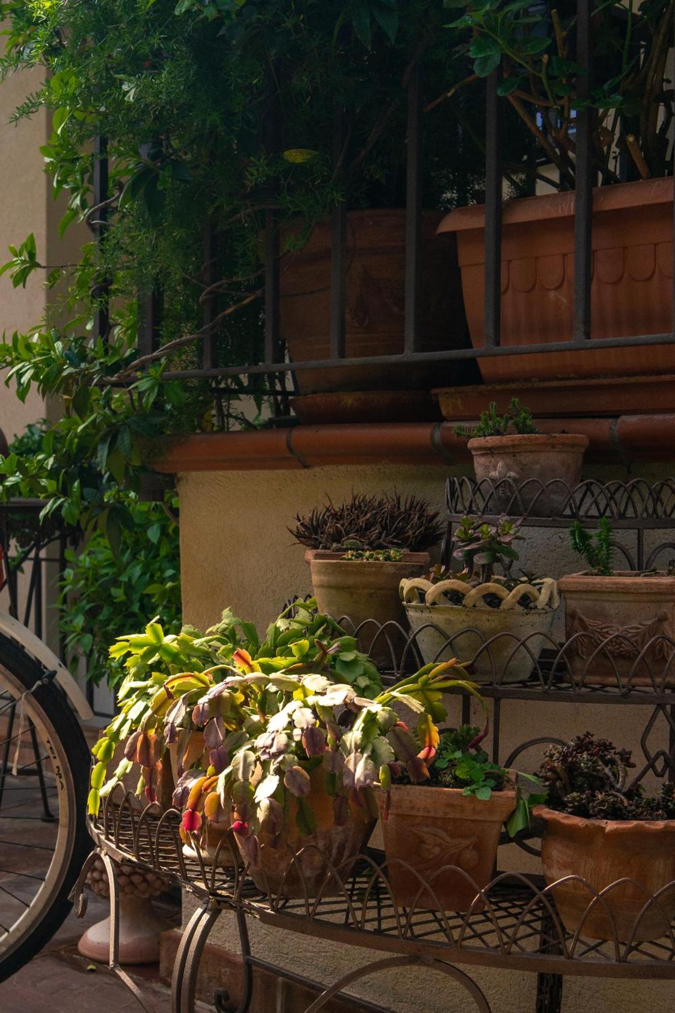 Guest House Antichi Ulivi Mondello Εξωτερικό φωτογραφία